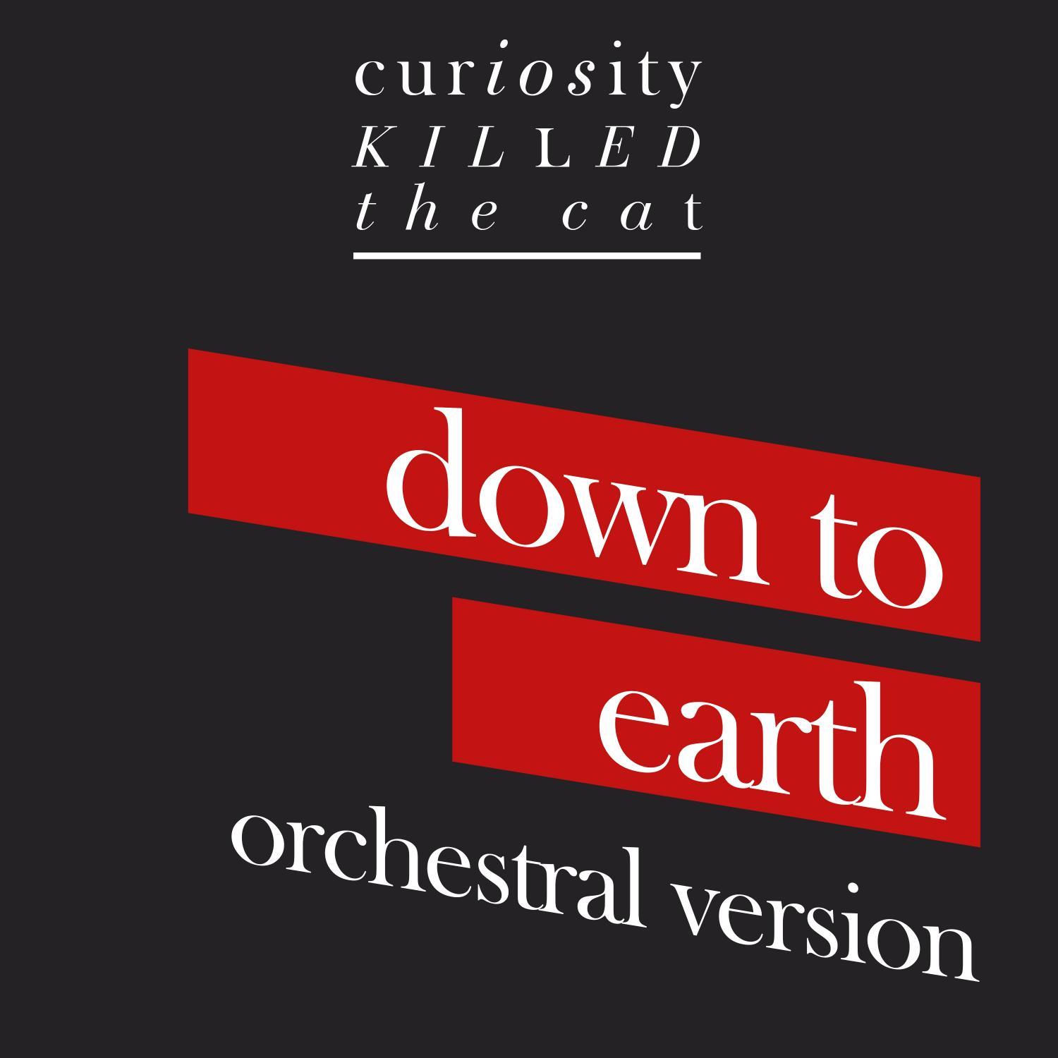 Curiosity Killed The Cat